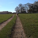 Chemin des vaches et des tracteurs - Ferme Garitte